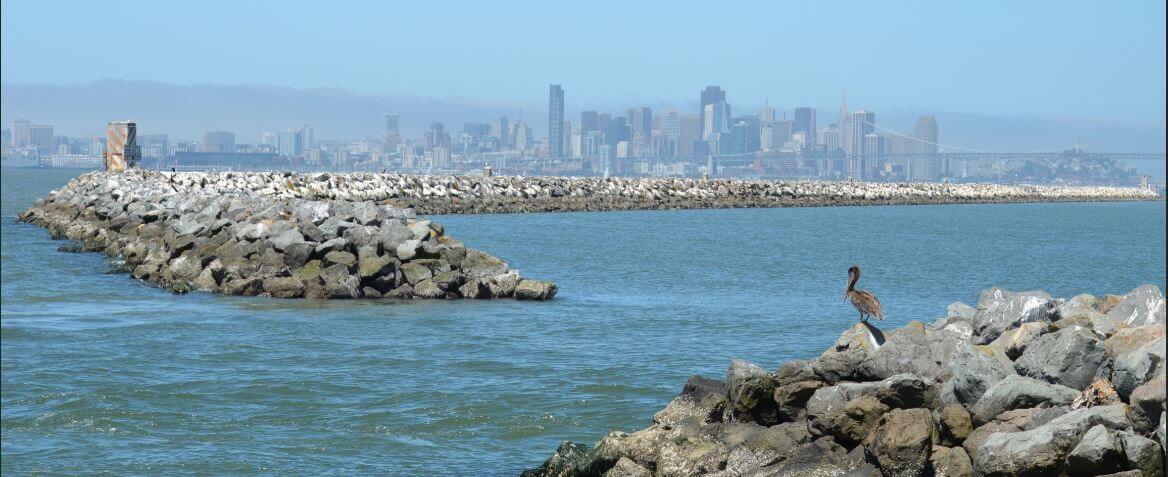 San Francisco Bay area San Francisco Bay area