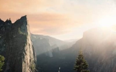 Labor Day in the ‘burbs!