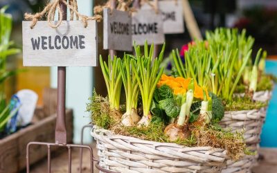 Get your hands dirty with an organic vegetable garden