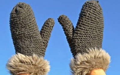 The Holidays Are HERE…and we’ve got LOTS to celebrate at Suburban Jungle!