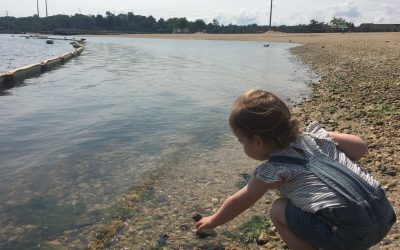 From the Hills to the Port 