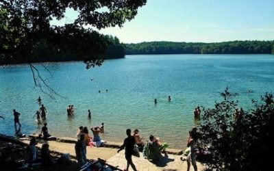 Check Out these Family-Friendly Events in the Boston Suburbs