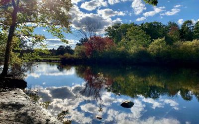 Back to the Boston Suburbs, After 17 Years in Arizona