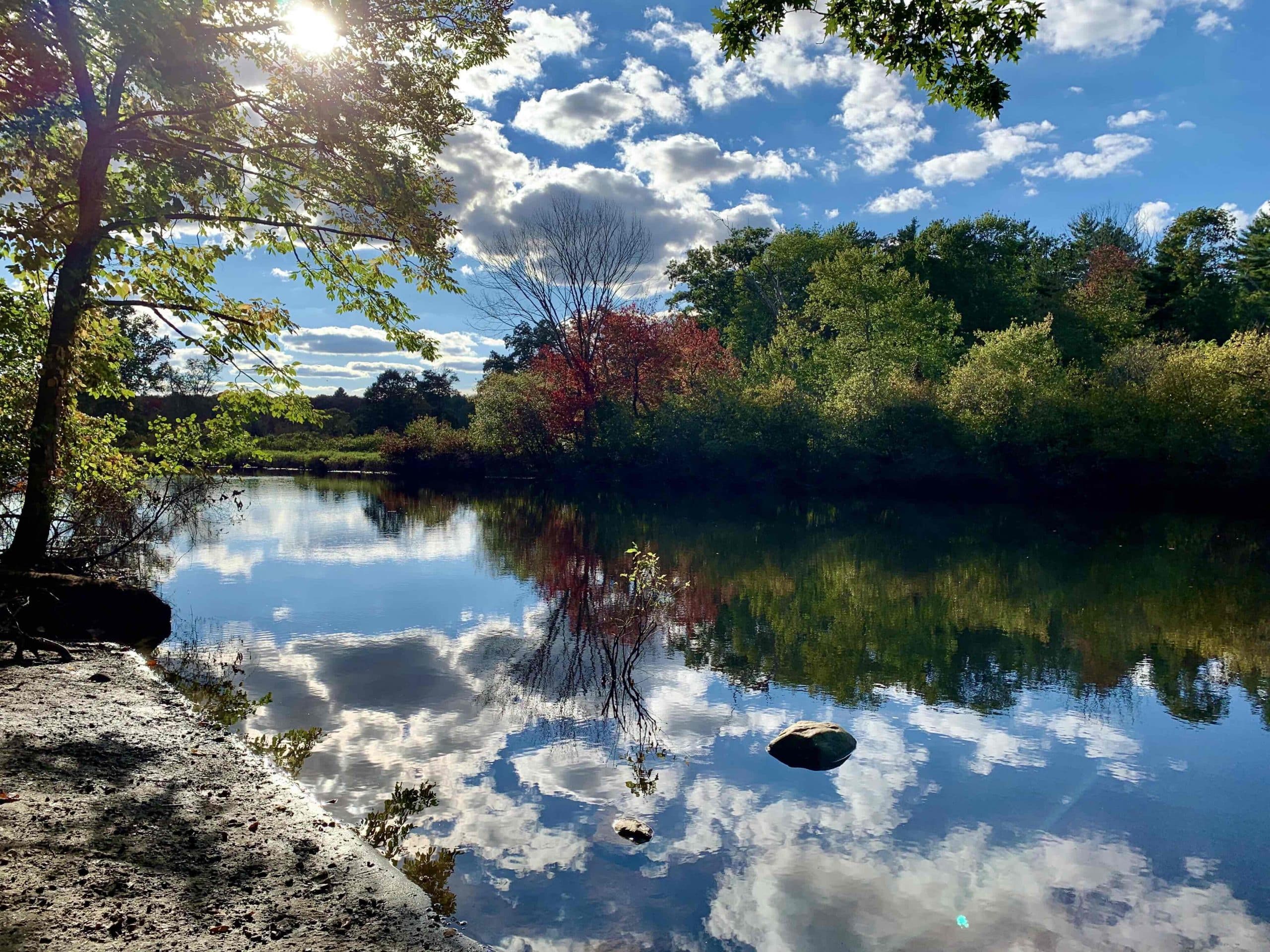 Maria Leshner Scaled 1 Maria Leshner Scaled 1