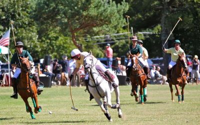 Head to the Boston Suburbs This Weekend!