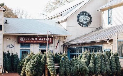 A Kid-Friendly Activity List in and Around Connecticut with Suburban Daily