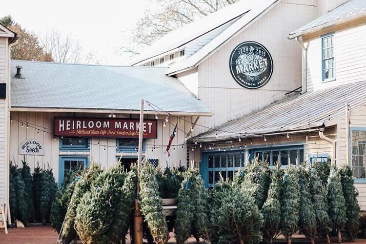 Thesuburbandaily 2 Thesuburbandaily 2