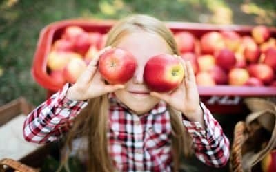 Feeling Festive? Have Some Fun in the Boston Suburbs this Fall