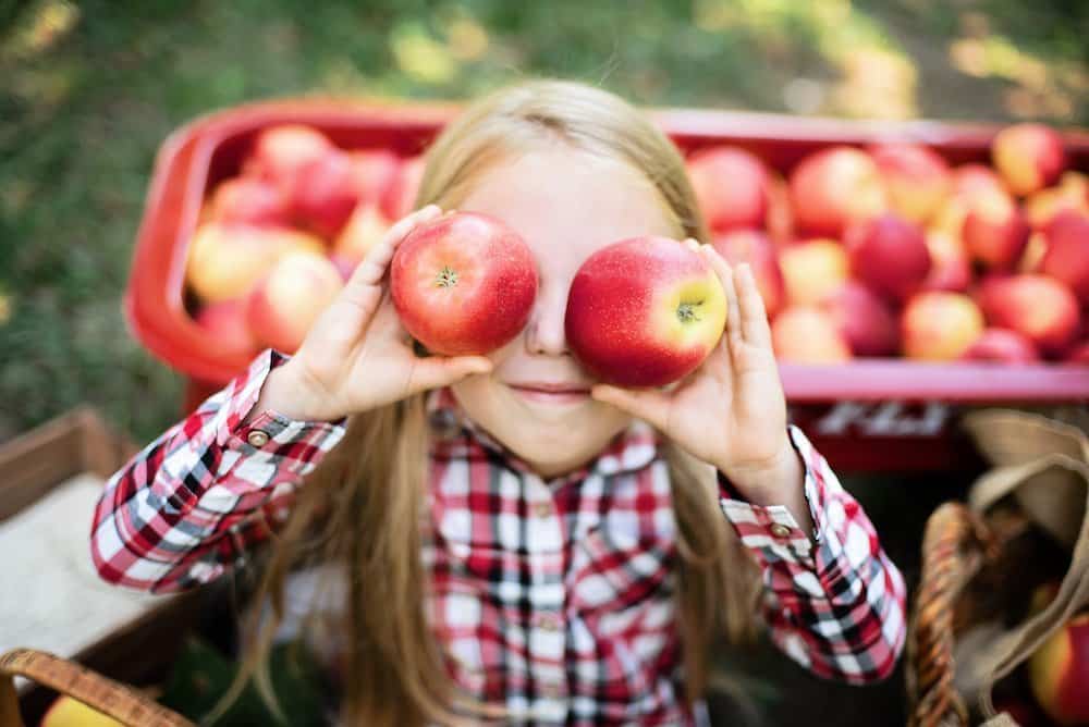 Girl with Apple in the Apple Orchard. Girl with Apple in the Apple Orchard.