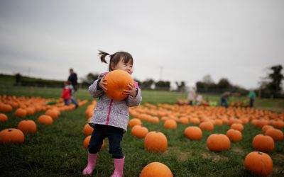 Fall into Philly’s Fall Festival Scene
