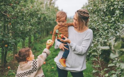 It’s Apple Picking Season in the NYC Suburbs!