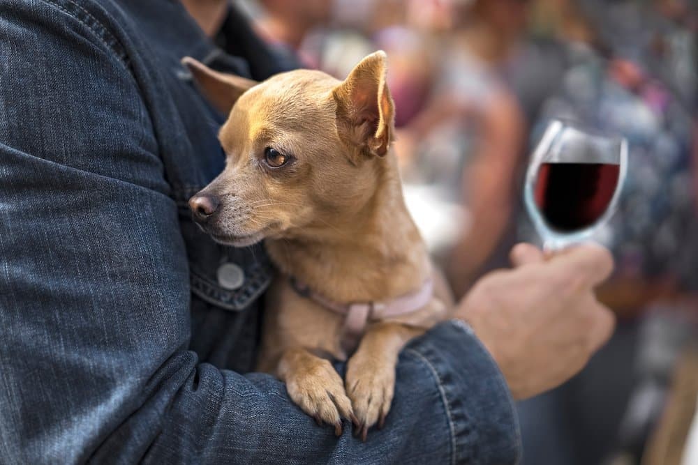 Adobestock 213635049