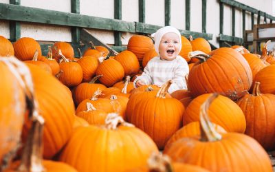 The Best Fall Festivals in the Bay Area Suburbs