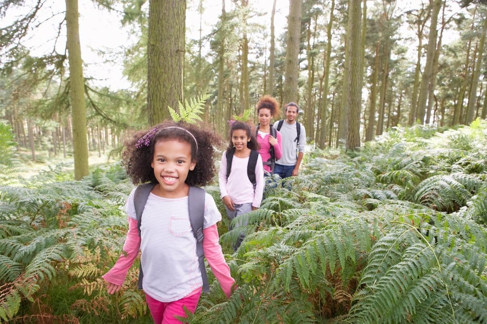 Adobestock 56574742 1 Adobestock 56574742 1