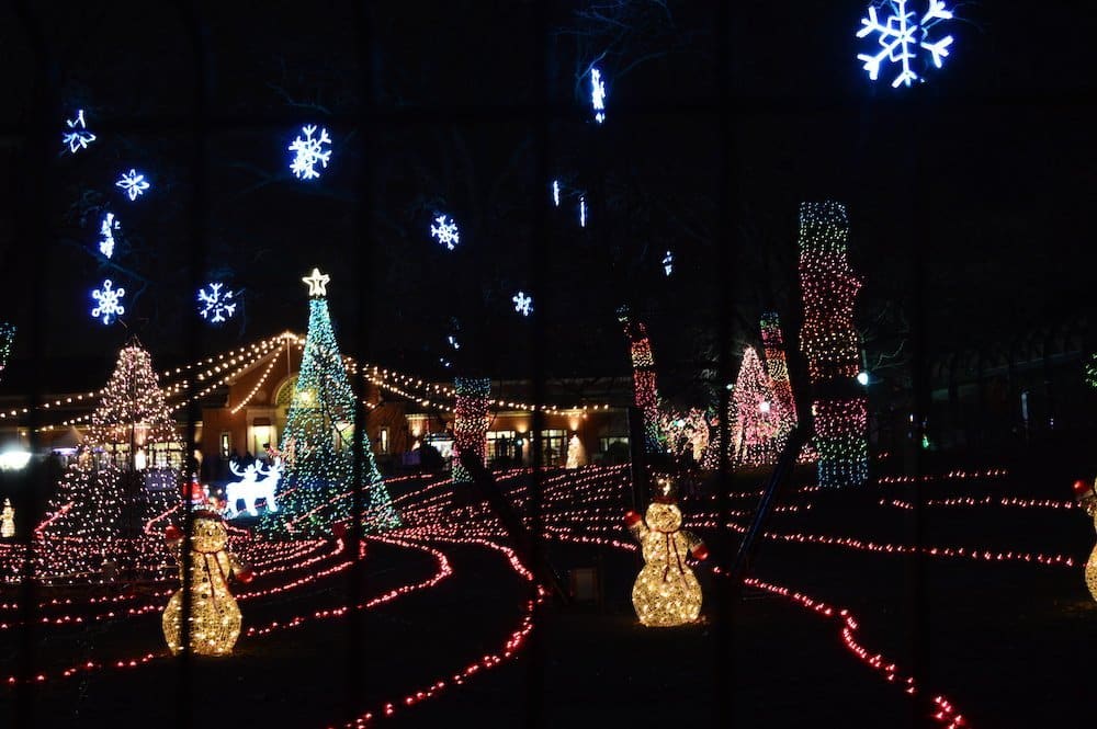 Adobestock 132069453