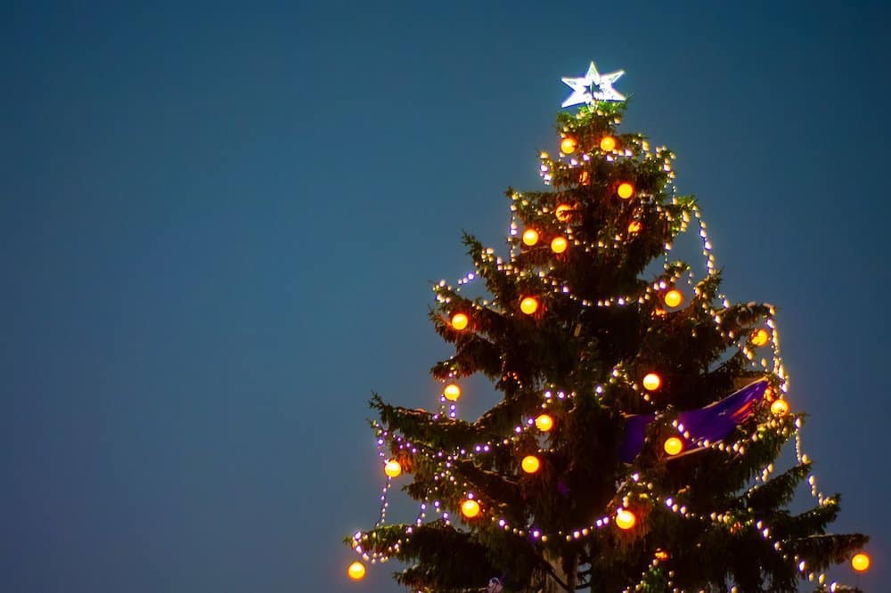 Adobestock 234137266