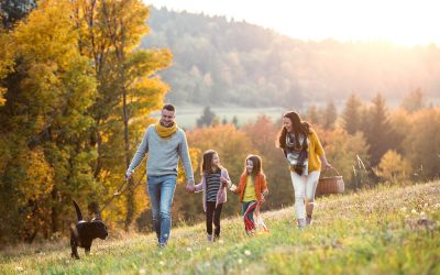 15 Top Fall Foliage Spots in the NYC Suburbs