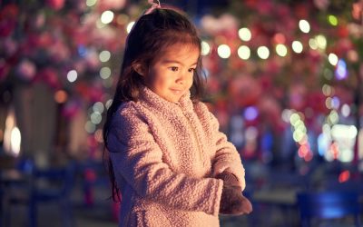 10 Best Holiday Light Displays on Long Island and in the Westchester County Suburbs