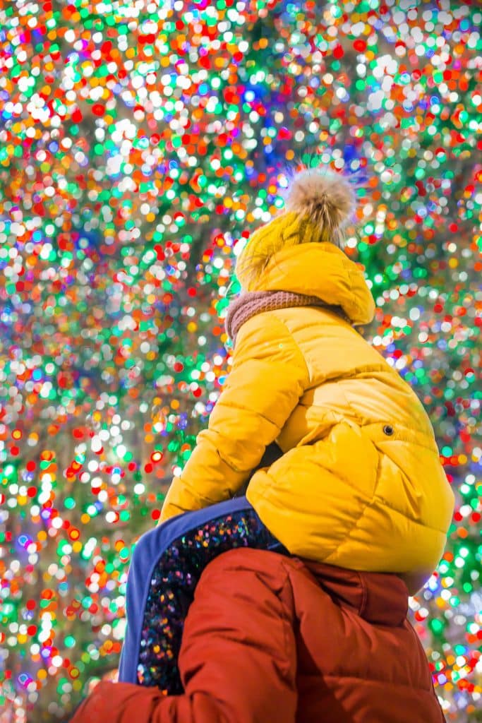 Adobestock 302868125