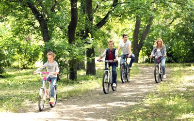 My 5 Favorite Things About the Chicagoland Suburbs