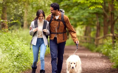 11 Amazing Hiking Trails in Westchester County