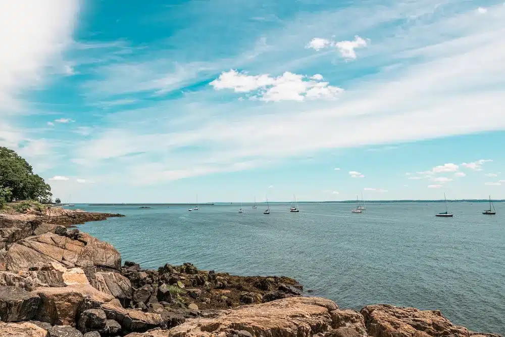 Adobestock 545205430