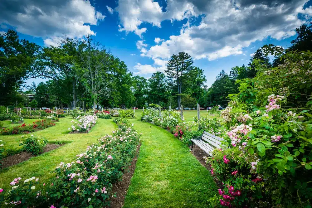 Adobestock 115610484