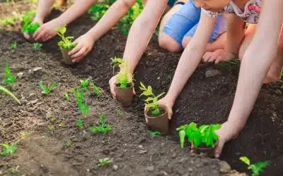 5 Ways to Celebrate Earth Day in Westchester