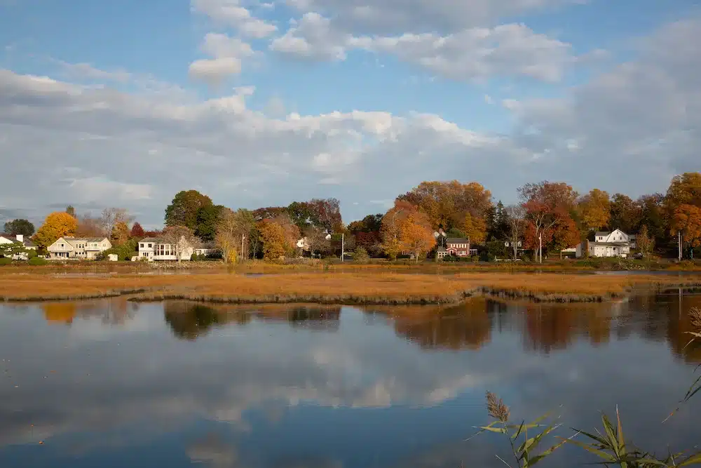 Adobestock 550118669