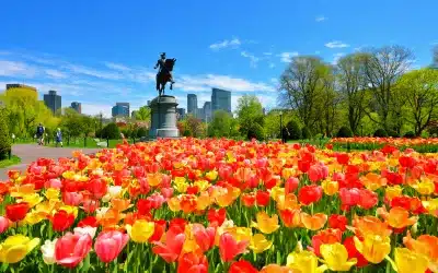 Things to Do Around Boston this Spring & Summer