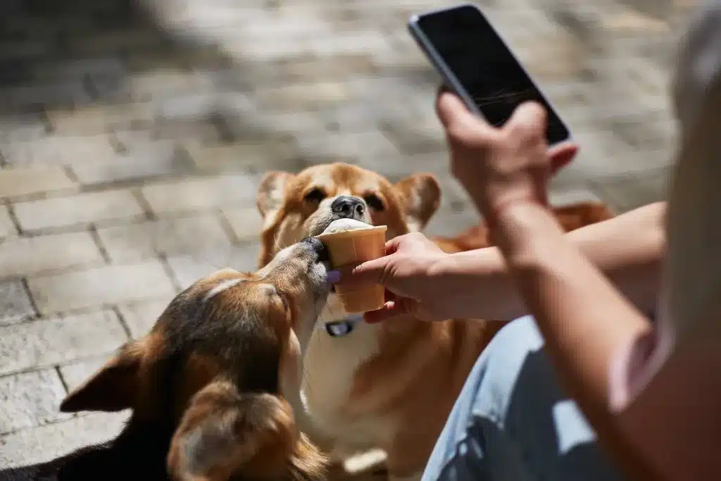 Adobestock 598950952