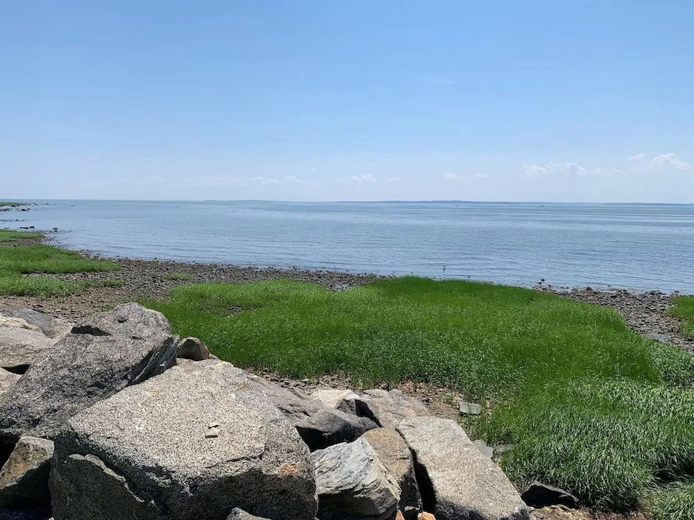 Adobestock 519494931