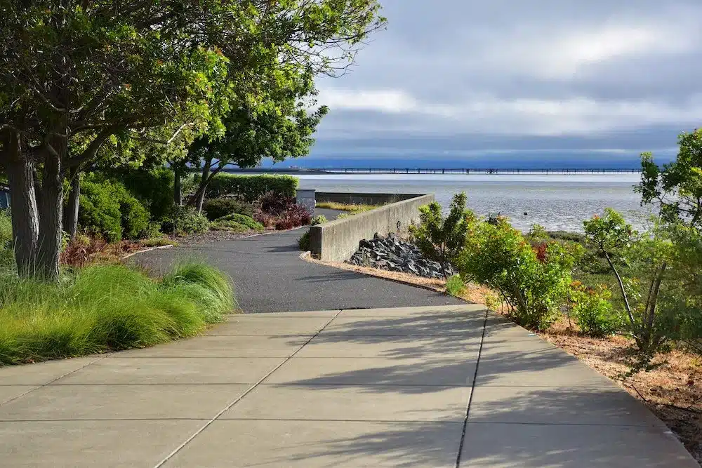 Adobestock 447292897