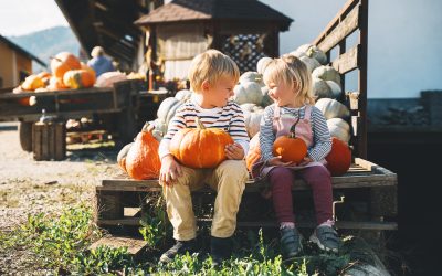 Check Out These Fall Festivals in the NYC Suburbs