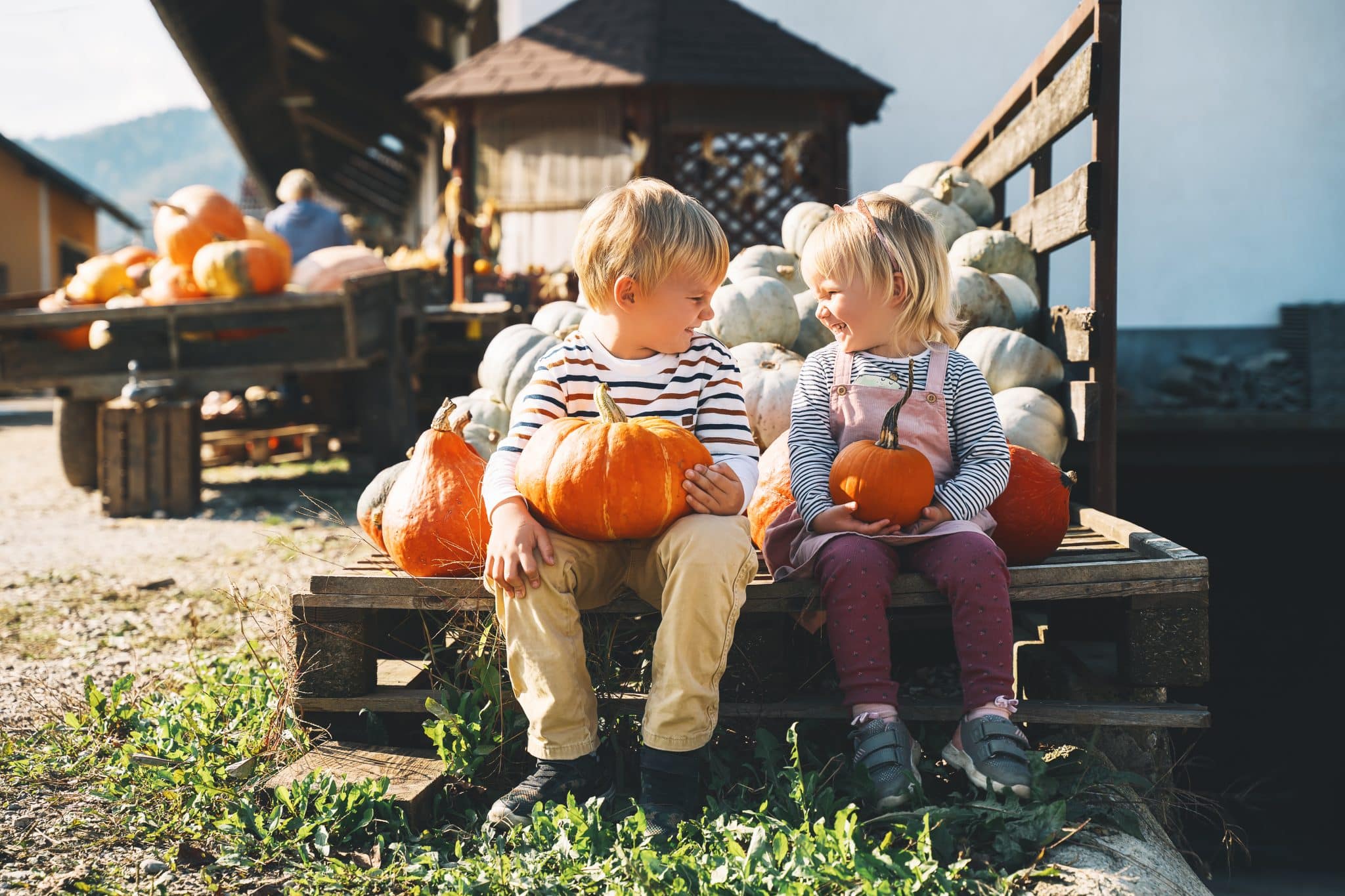 Family with kids at fall season. Preschool children sitting in pile of pumpkins at local farm market and picking pumpkin on Halloween or Thanksgiving holiday.