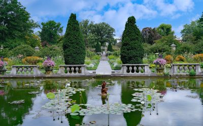 Spring Has Sprung in These Long Island Gardens
