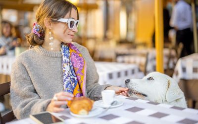 Explore the Westchester suburbs with a latte in hand