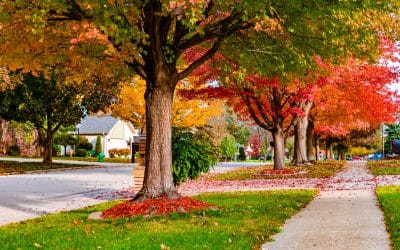 Fall for the Suburbs: Why Now is the Time to Start Your Search