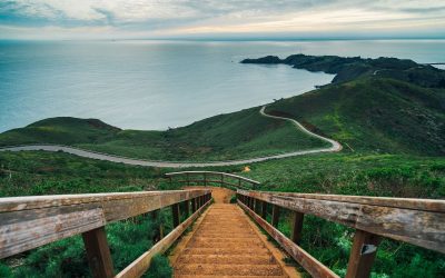 Top 5 Reasons Families Should Move to Marin County