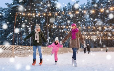 Winter Wonders in the Westchester Suburbs