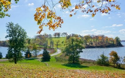 Top 5 Reasons Families Love Boston’s South Shore Towns