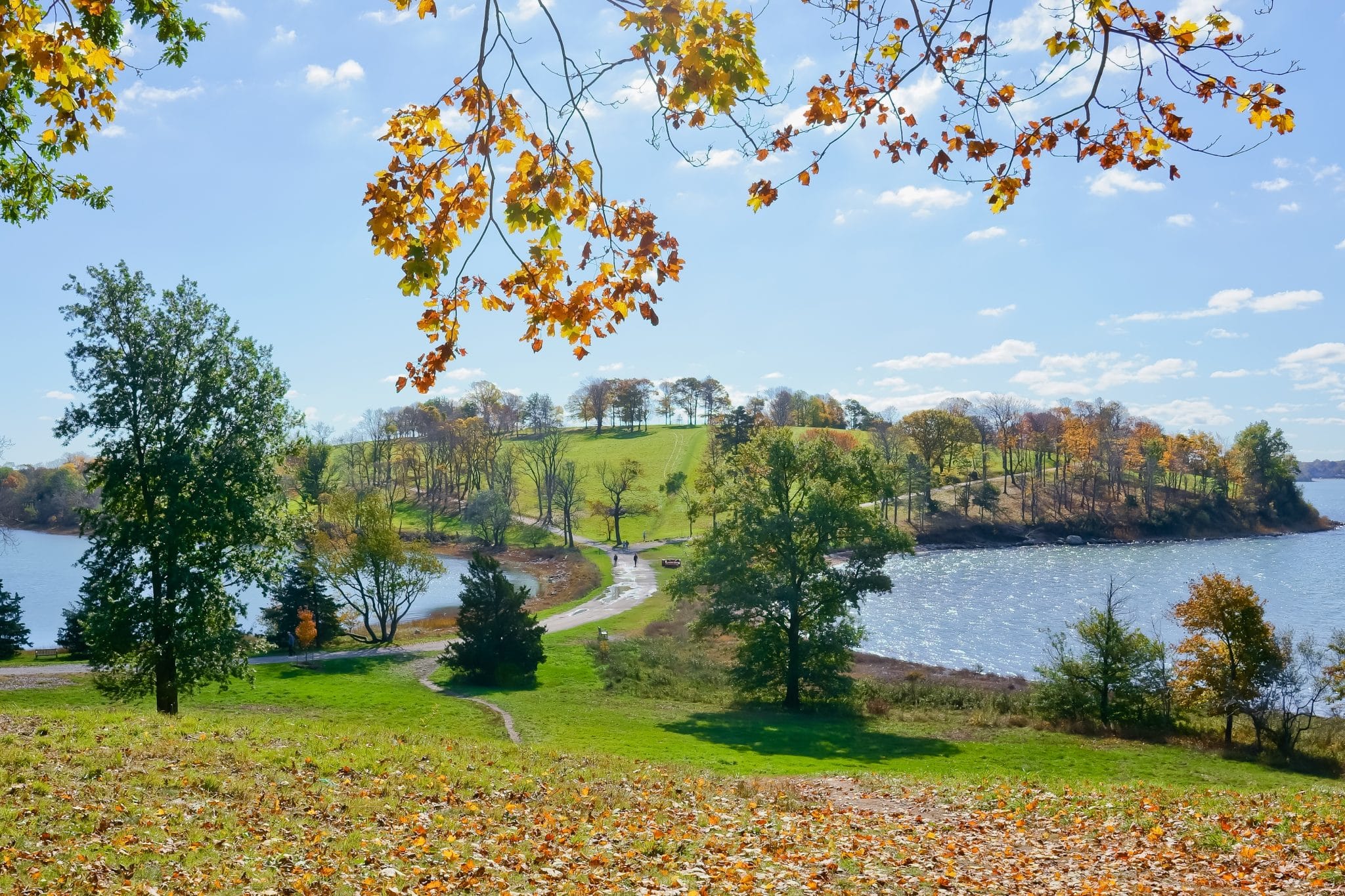 World’s End Park in Hingham, MA World’s End Park in Hingham, MA