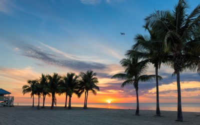 Dreaming of Florida? Winter is the Perfect Time to Explore Your Move South