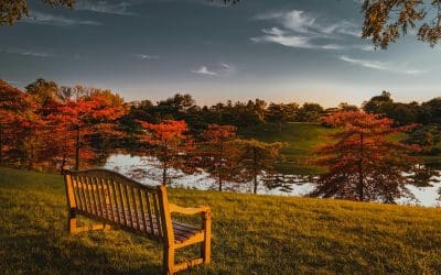 A Comprehensive Guide for Living in Armonk, NY