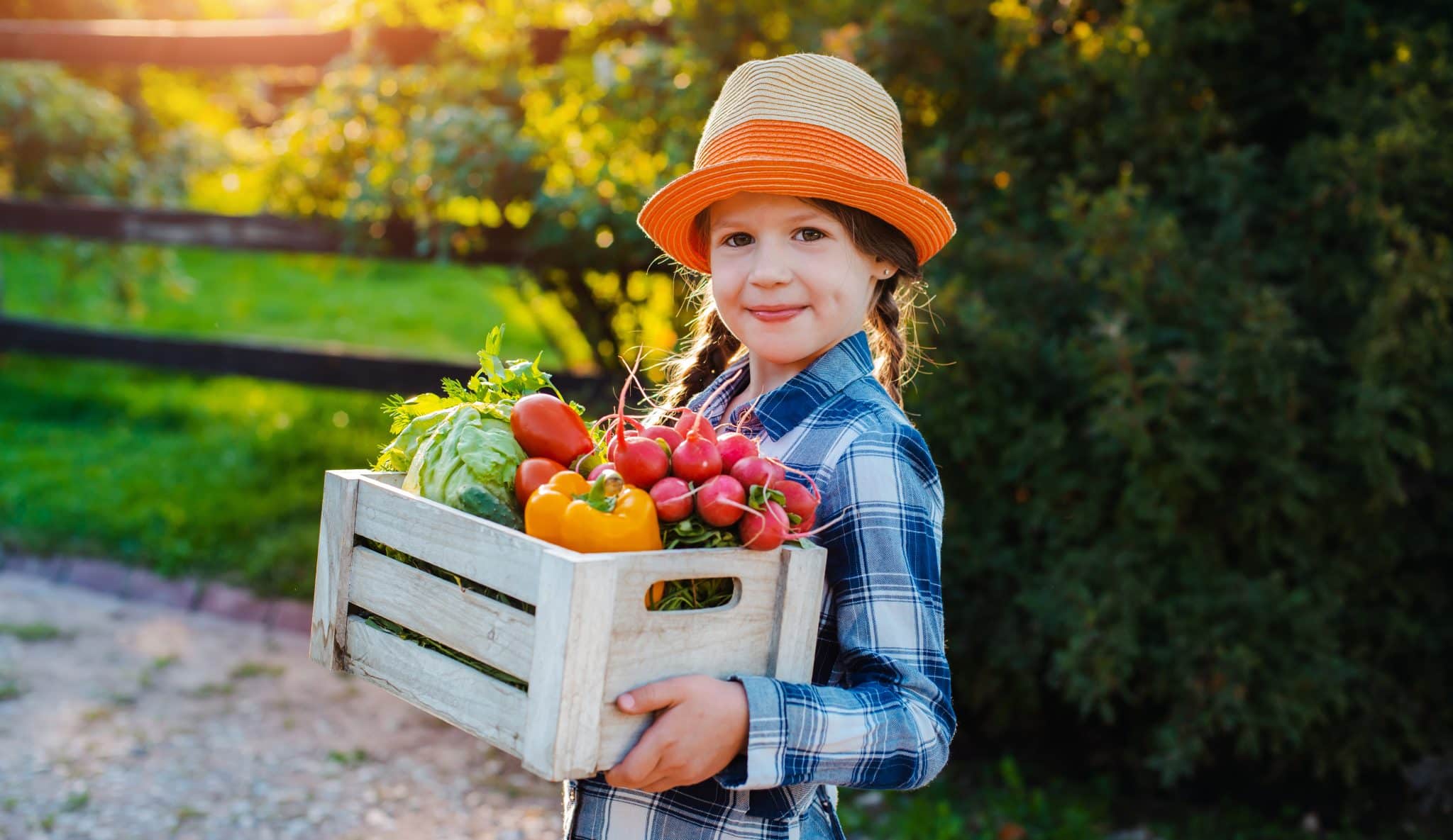 Girl holding basket fresh organic vegetables Girl holding basket fresh organic vegetables