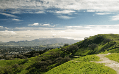 Discover the East Bay: Living in Lafayette, CA