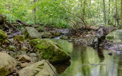 Living in South Orange, NJ: A Comprehensive Guide