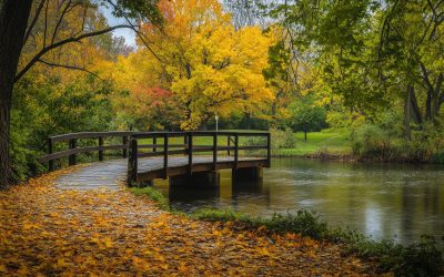 The Ultimate Guide to Living in Westfield, NJ: What You Need to Know