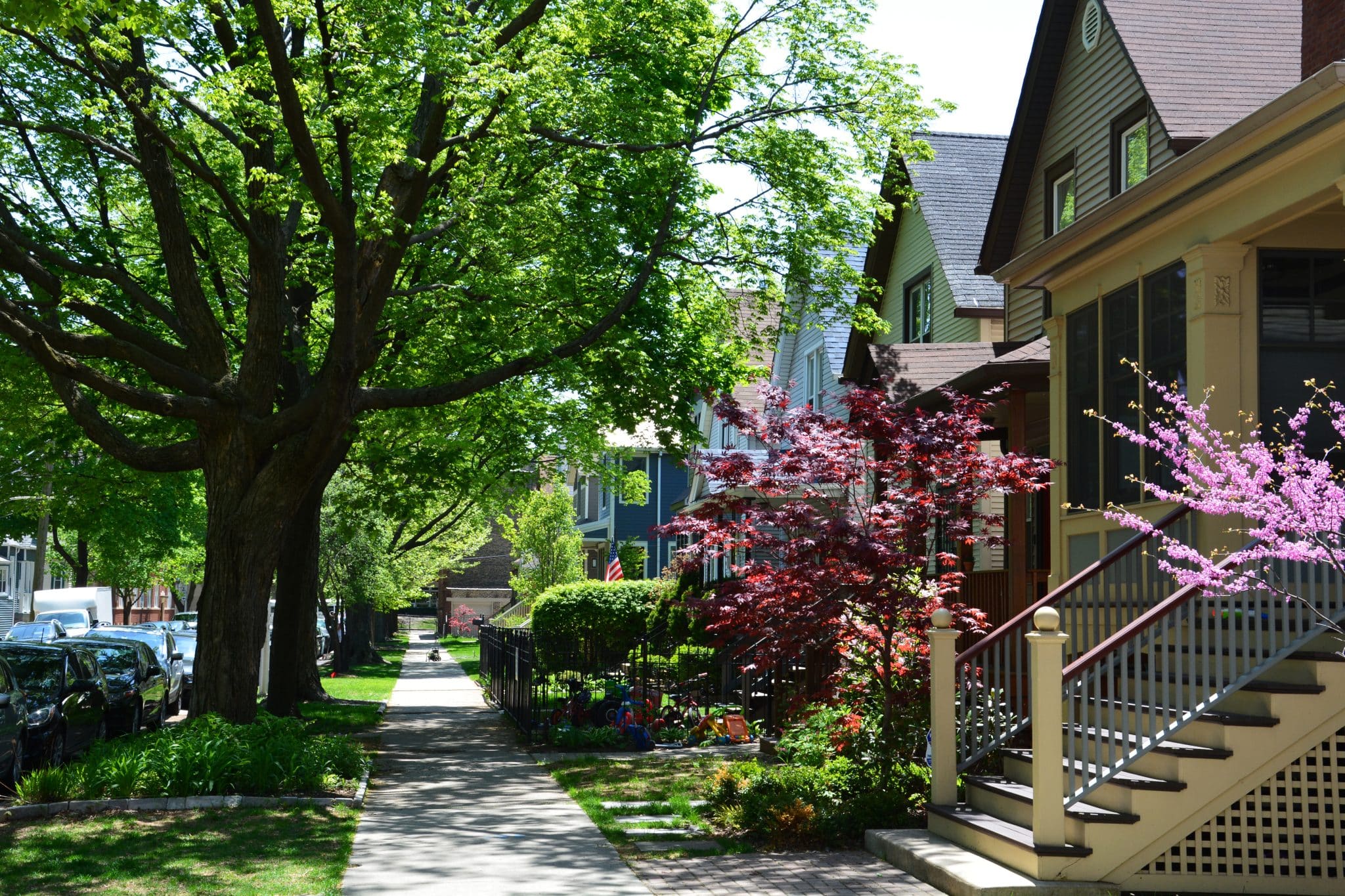 Spring has arrived in a residential neighborhood of Chicago