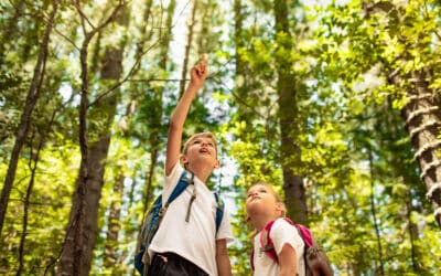 Outdoors, Unplugged: Westchester Suburbs with the Best Nature Programs for Kids